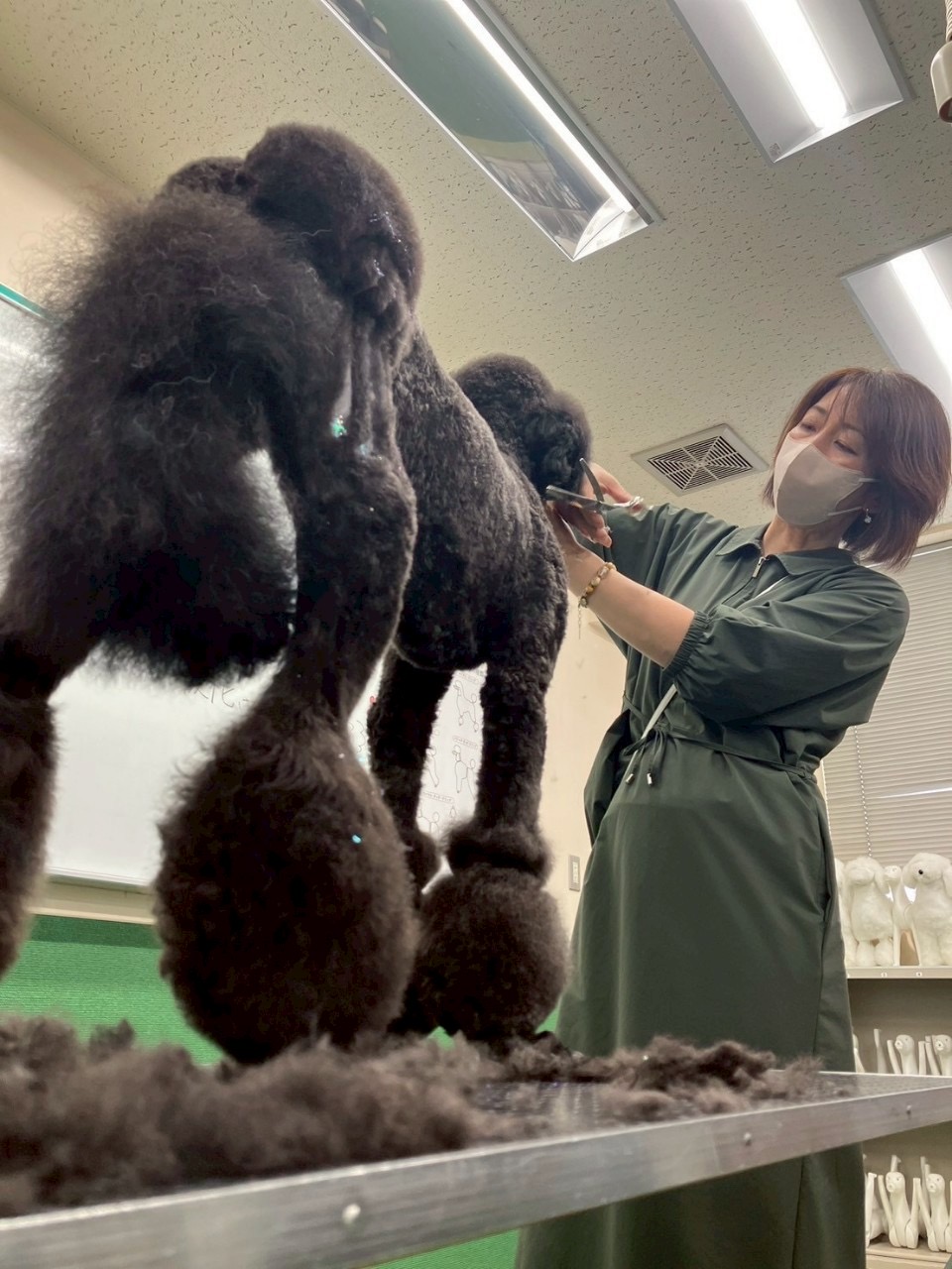 Dog Salon Puppy オーナー