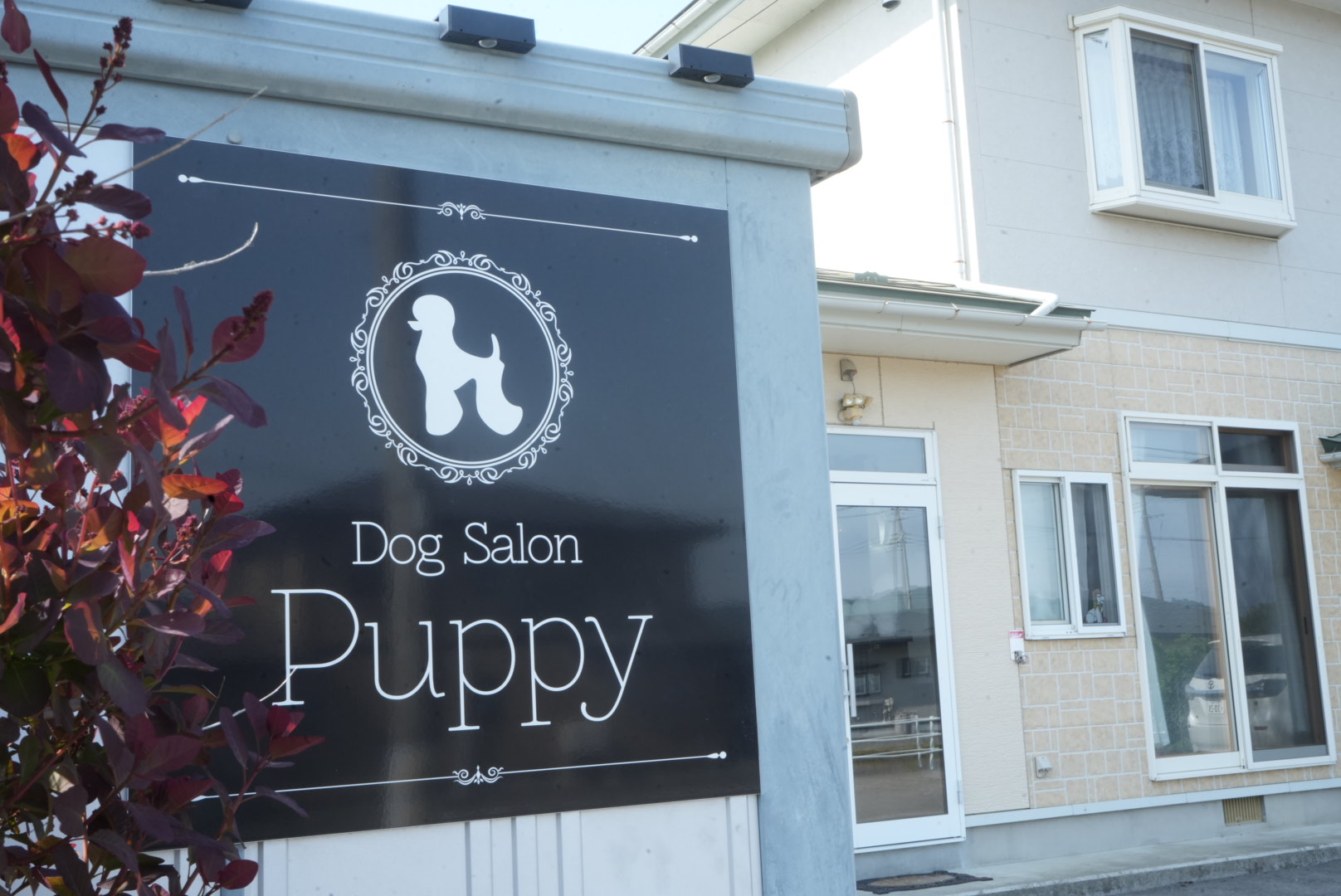 岩手県久慈市のドッグサロン Dog Salon Puppy